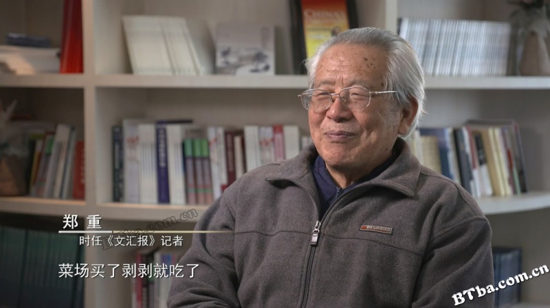 山河无恙：影响中国的疫情档案