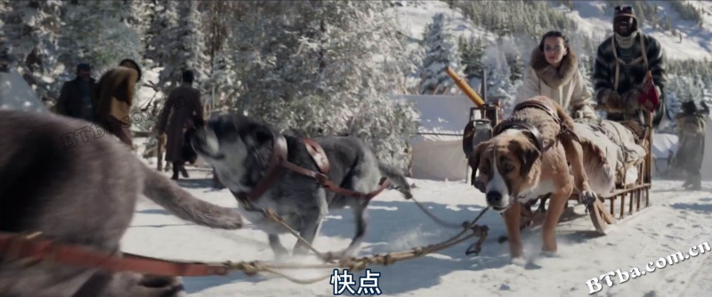 野性的呼唤/荒野的呼唤/极地守护犬(港/The Call of the Wild