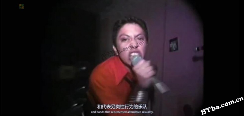 酷儿的朋克革命/酷儿朋克革命书/Queercore: How to Punk a Revolution