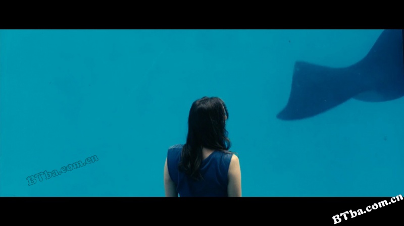 锈与骨/烈爱重生(台)/Rust & Bone