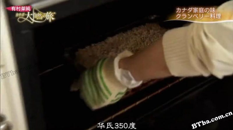 有村架纯 加拿大大自然之旅/有村架純 カナダ大自然の旅