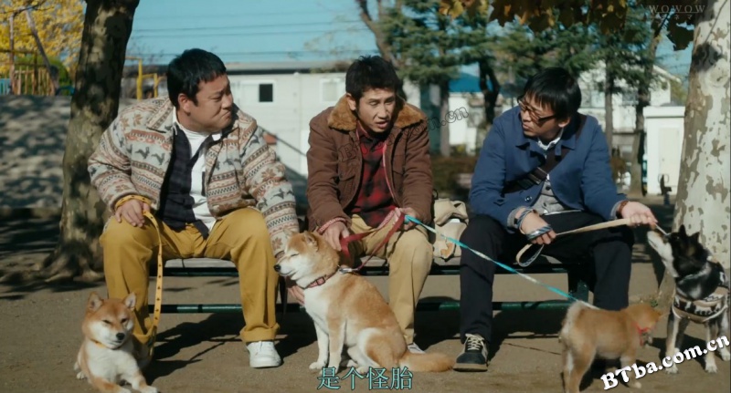 柴犬公园/柴公園
