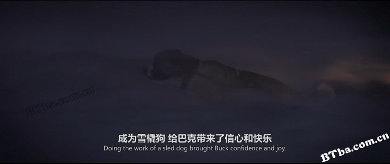 野性的呼唤/荒野的呼唤/极地守护犬(港/The Call of the Wild