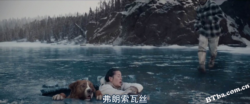 野性的呼唤/荒野的呼唤/极地守护犬(港/The Call of the Wild
