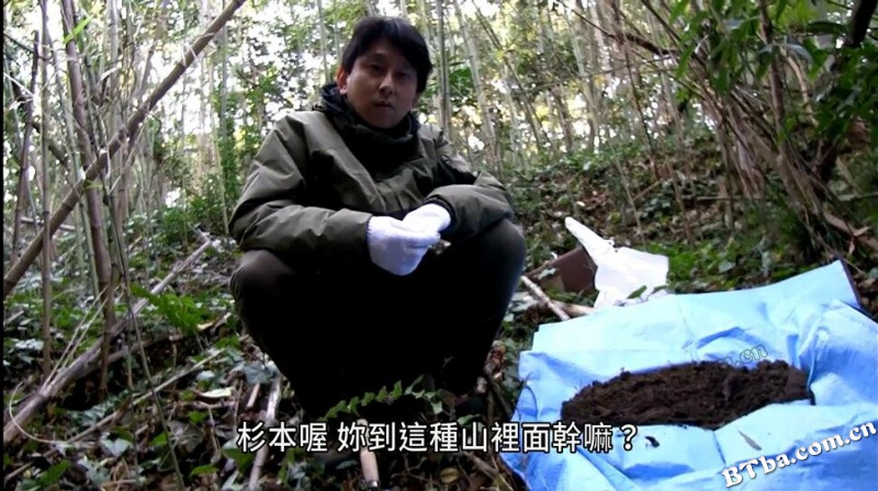 禁断动画30/鬼停格之鬼跟踪(台)/Not Found 30 -ネットから削除された禁断动画