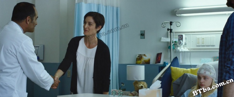 脑火/我发疯的那段日子(台)/我的失常日记(港)/Brain on Fire