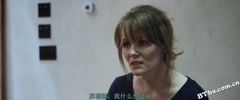 脑火/我发疯的那段日子(台)/我的失常日记(港)/Brain on Fire