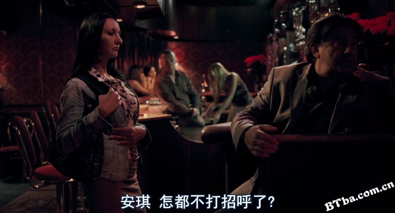 复仇/维也纳复仇/把哀伤留给复仇/Revanche