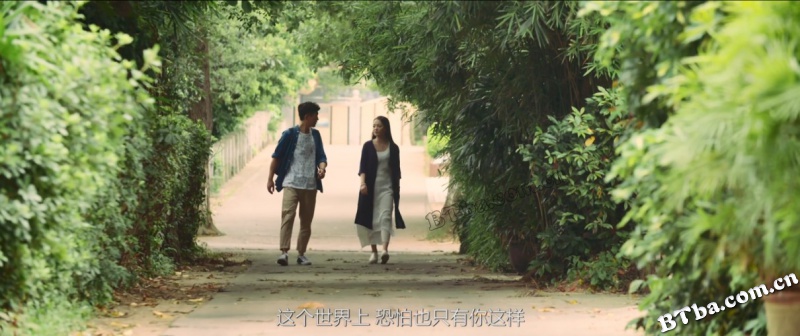 冬天没有童话
