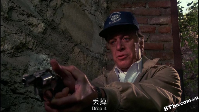 警察学校2：初露锋芒/金牌警校军续集/学警出更续集