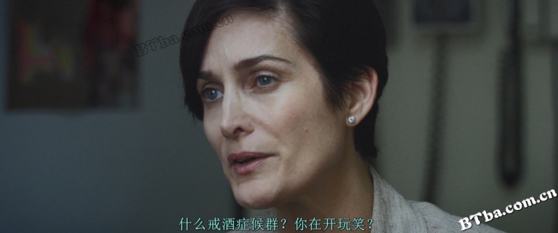 脑火/我发疯的那段日子(台)/我的失常日记(港)/Brain on Fire