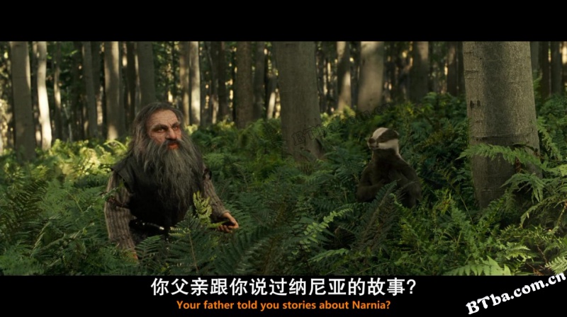 纳尼亚传奇2：凯斯宾王子/魔幻王国：卡斯柏王子/纳尼亚传奇：贾思潘王子
