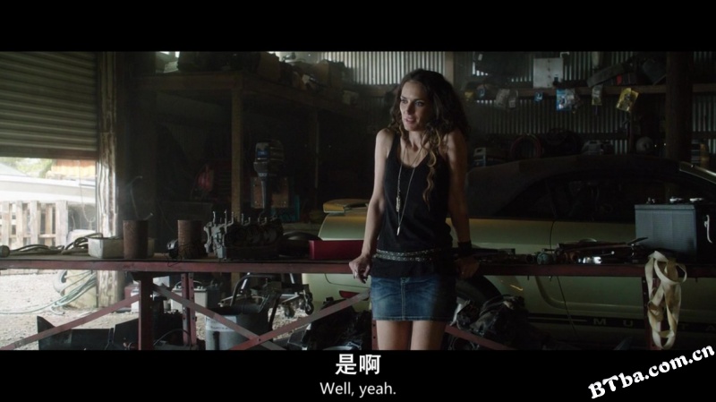 家园防线/最后防线(台)/反毒战警(港)