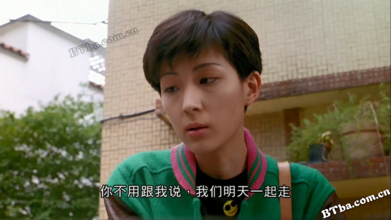 我在黑社会的日子/义不容辞/Triads - The Inside Story