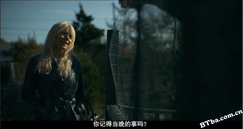 失踪女孩/失踪的女孩：长岛连环杀人事件/失足少女/Lost Girls