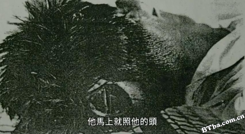 还有一些树/還有一些樹