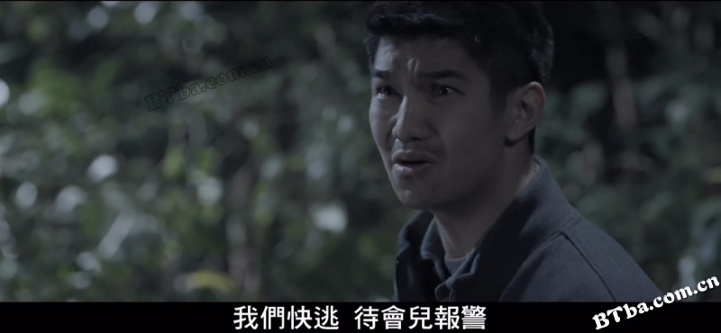 雷豹/Lôi Báo