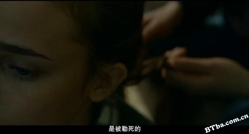 失踪女孩/失踪的女孩：长岛连环杀人事件/失足少女/Lost Girls
