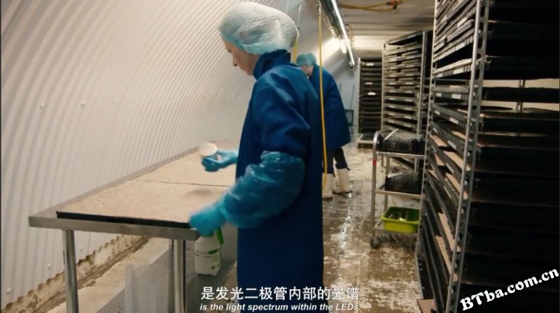 人类世/人類世：誰主地球（港）/Anthropocene: The Human Epoch