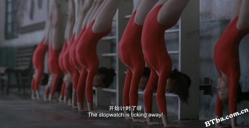 我们天上见/兰草/伞