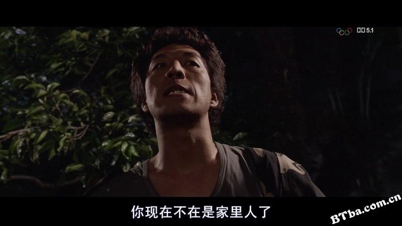 人狗奇缘/伴我走天涯(台)/快乐寻回犬(港)