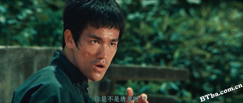猛龙过江/The Way of the Dragon