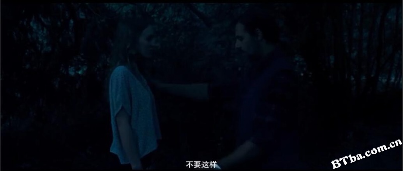 猛兽/Les Fauves