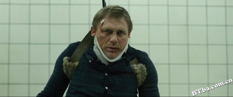 龙纹身的女孩/The Girl with the Dragon Tattoo