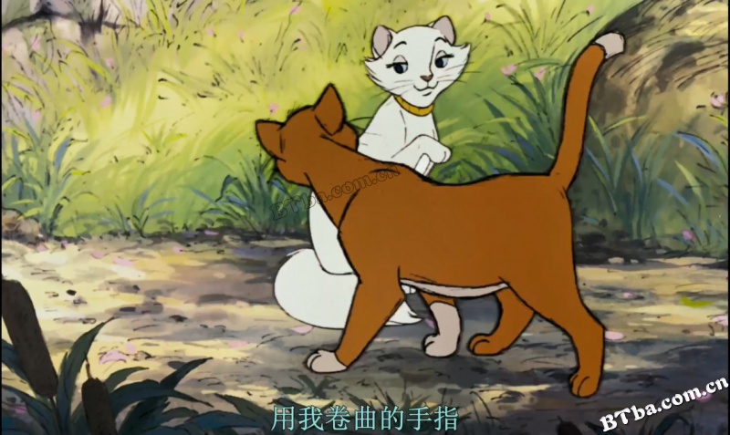 猫儿历险记/富贵猫/贵族猫