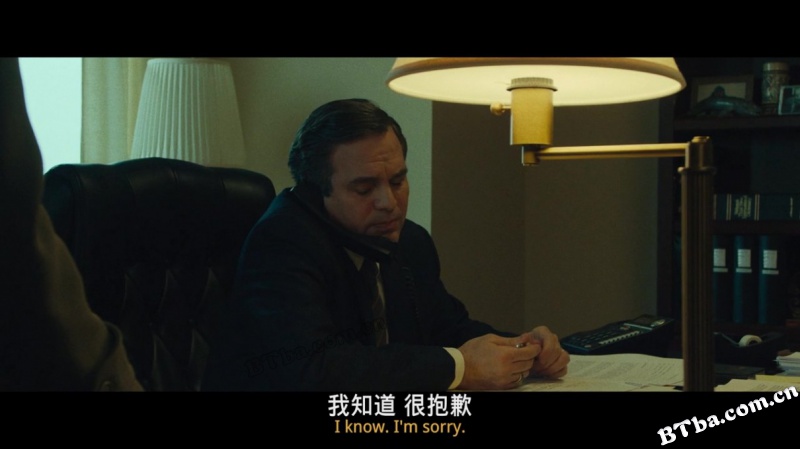 黑水/黑水风暴(台)/黑暗水域/Dark Waters