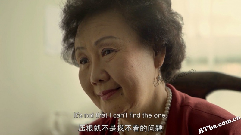 剩女/中国剩女/Leftover Women