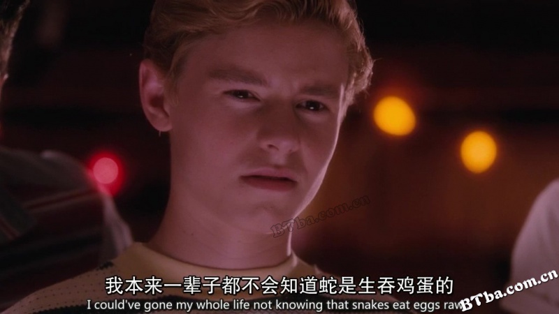 怦然心动/萌动青春/青春萌动/Flipped