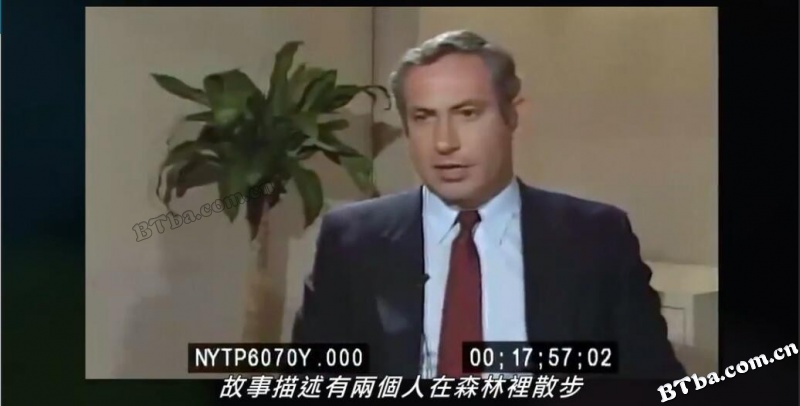 王者比比/King Bibi