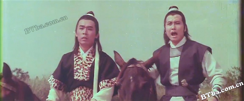 保鑣/China Armed Escort/正宗保镖