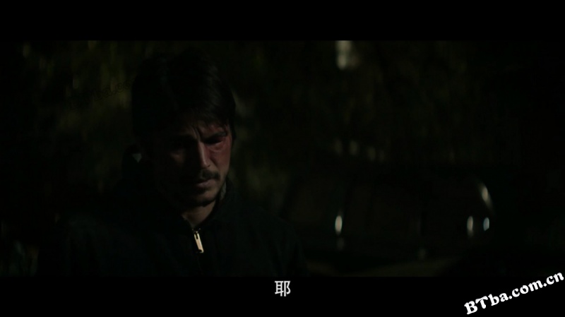 继任蝰蛇/Inherit the Viper