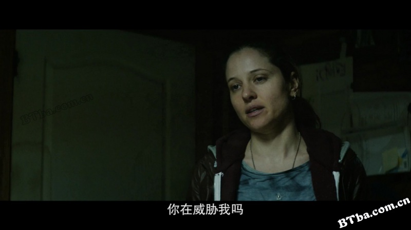 继任蝰蛇/Inherit the Viper