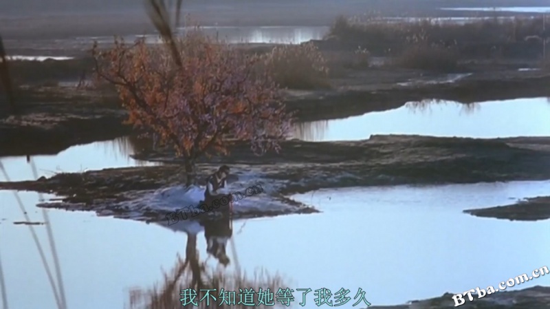 天下无双/Chinese Odyssey 2002