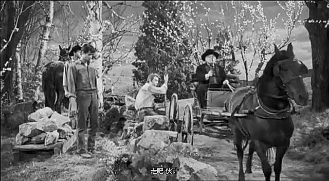 榆树下的欲望