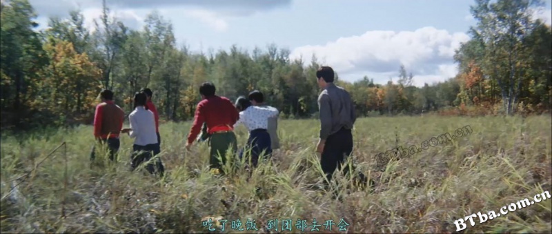 我们的田野/Our Farmland