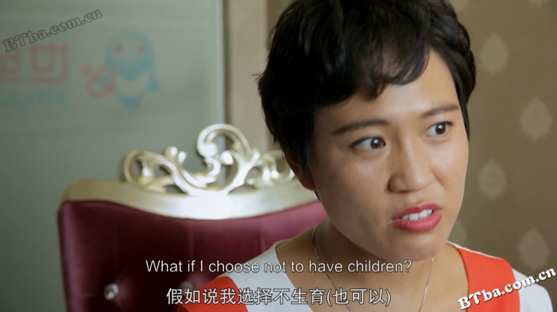 剩女/中国剩女/Leftover Women