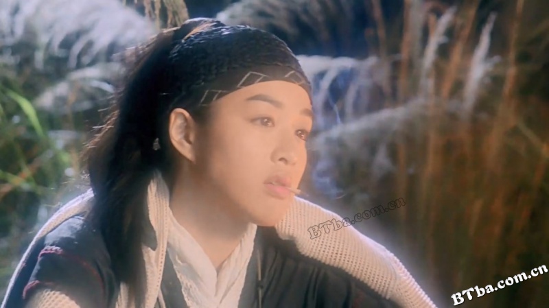 白发魔女2/The Bride with White Hair 2