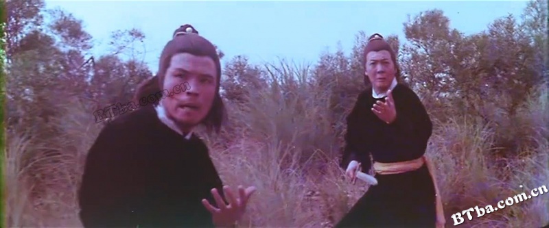 保鑣/China Armed Escort/正宗保镖