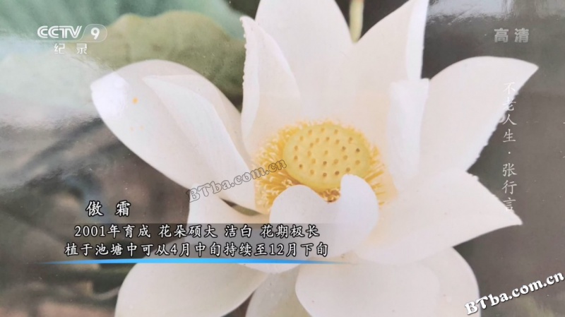 不老人生