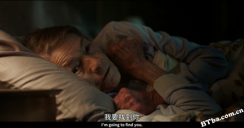 伊丽莎白不见了/Elizabeth is Missing