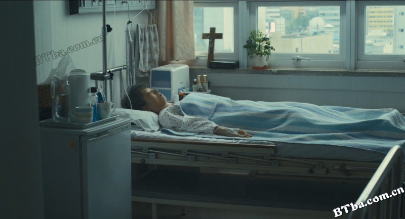 共犯/Blood and Ties