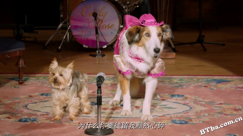 萌犬好声音3/Pup Star: World Tour