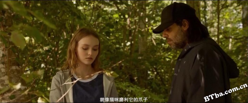 猛兽/Les Fauves
