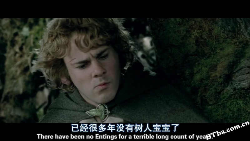 指环王2：双塔奇兵/魔戒二部曲：双城奇谋/指环王II：双塔