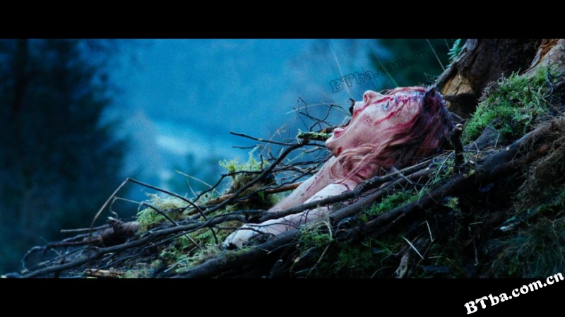 黑暗侵袭/魔洞/暗袭/The Descent