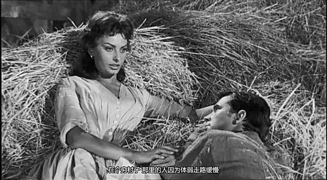 榆树下的欲望